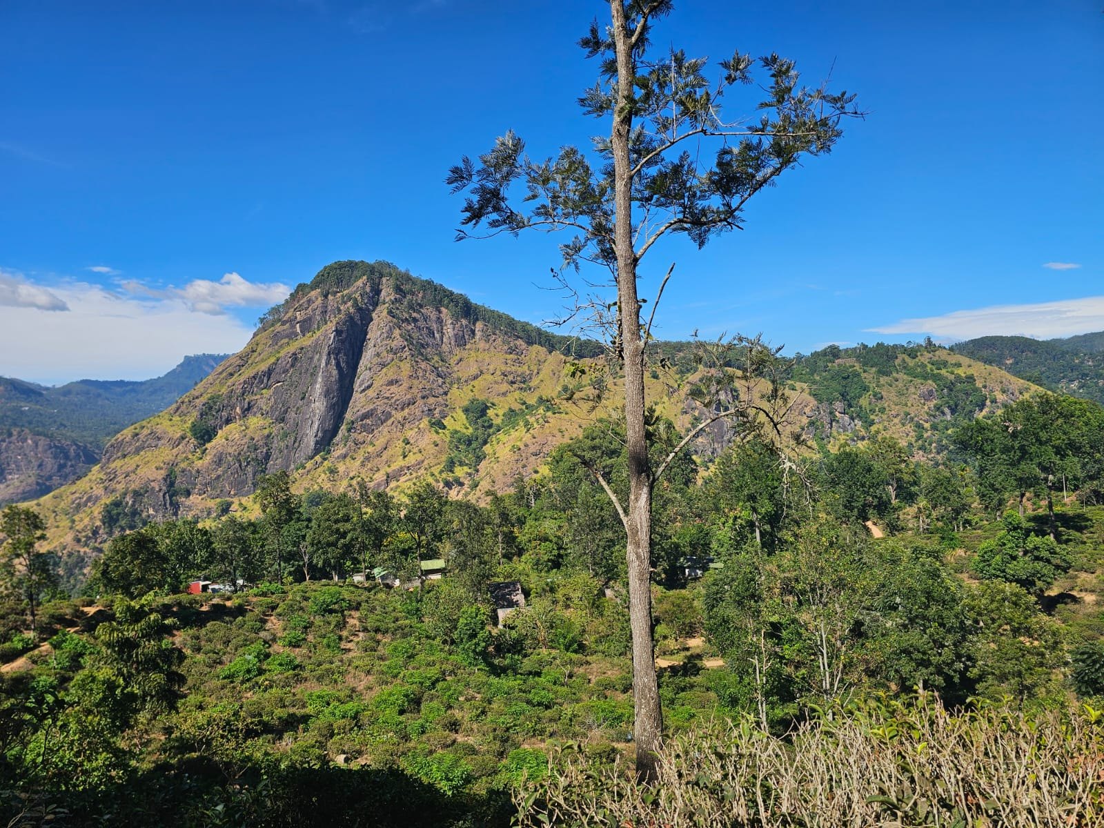 Ella's green mountain scenery
